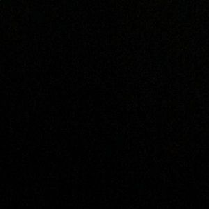 Meet your Posher, Ralph